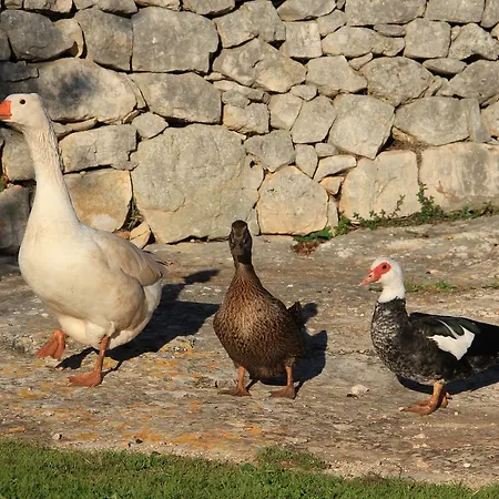 Masseria Trulli Sull'aia 3* チステルニーノ