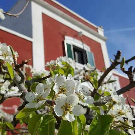 Masseria Trulli Sull'aia Bed & Breakfast Cisternino