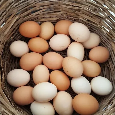 Masseria Trulli Sull'aia 3* チステルニーノ