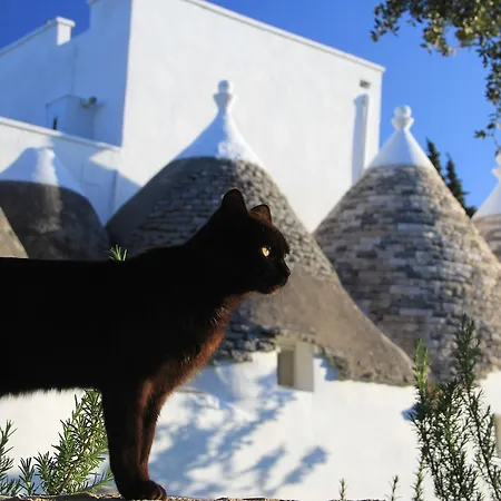 Bed & Breakfast Masseria Trulli Sull'aia