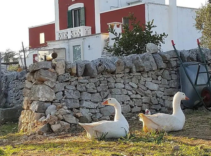 ベッド・アンド・ブレックファスト Masseria Trulli Sull'aia