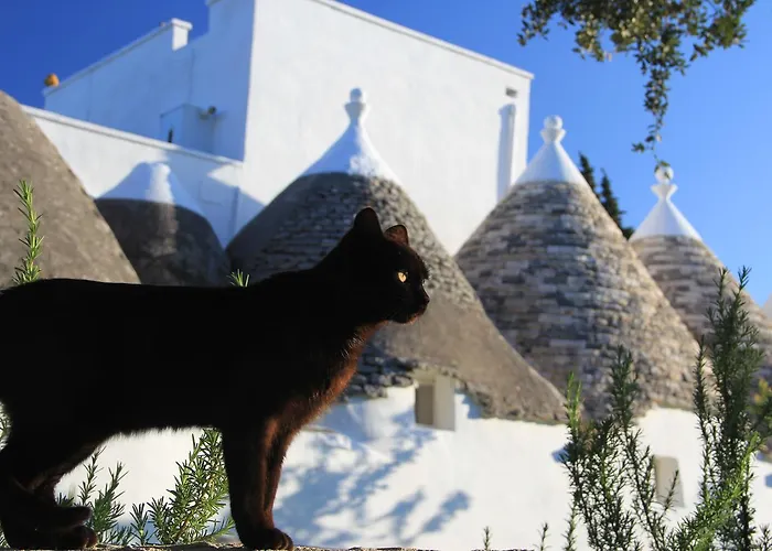 Alojamento de Acomodação e Pequeno-almoço Masseria Trulli Sull'aia