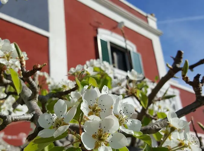 Masseria Trulli Sull'aia ベッド・アンド・ブレックファスト チステルニーノ